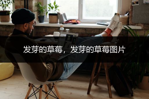 发芽的草莓，发芽的草莓图片